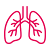LaFACT_Fisioterapia_04