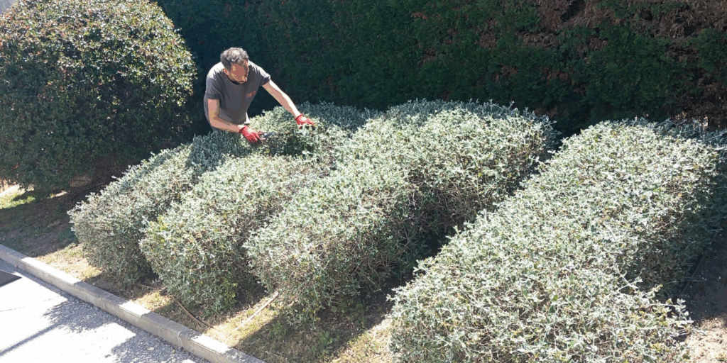 L’àrea de Jardineria de LaFACT inicia el servei de manteniment dels espais verds d’ATL (Aigües Ter Llobregat)