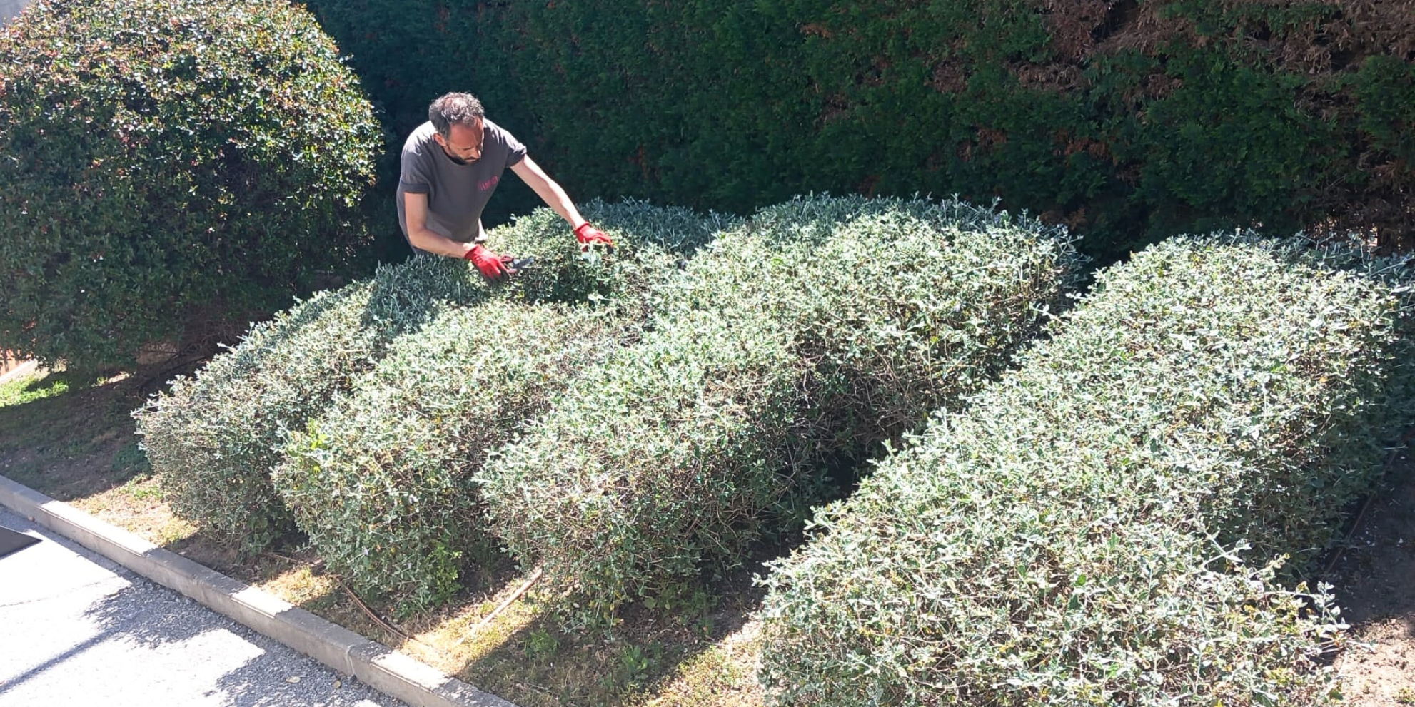 LaFACT-Jardineria-ATL