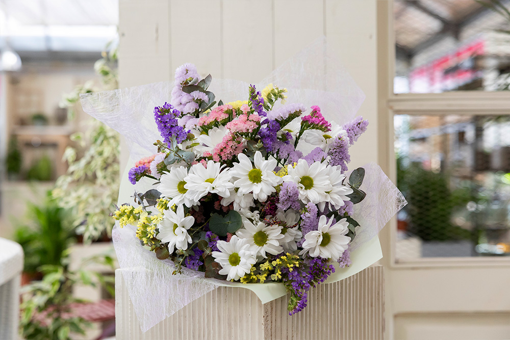 LaFACT_Garden_Rams_3