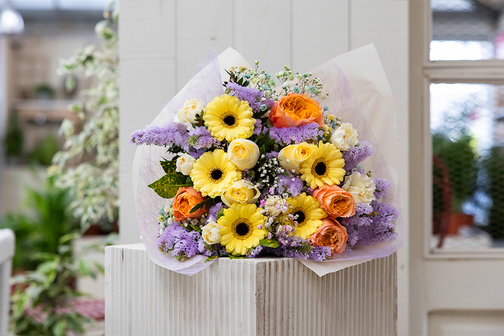LaFACT_Garden_Rams_4