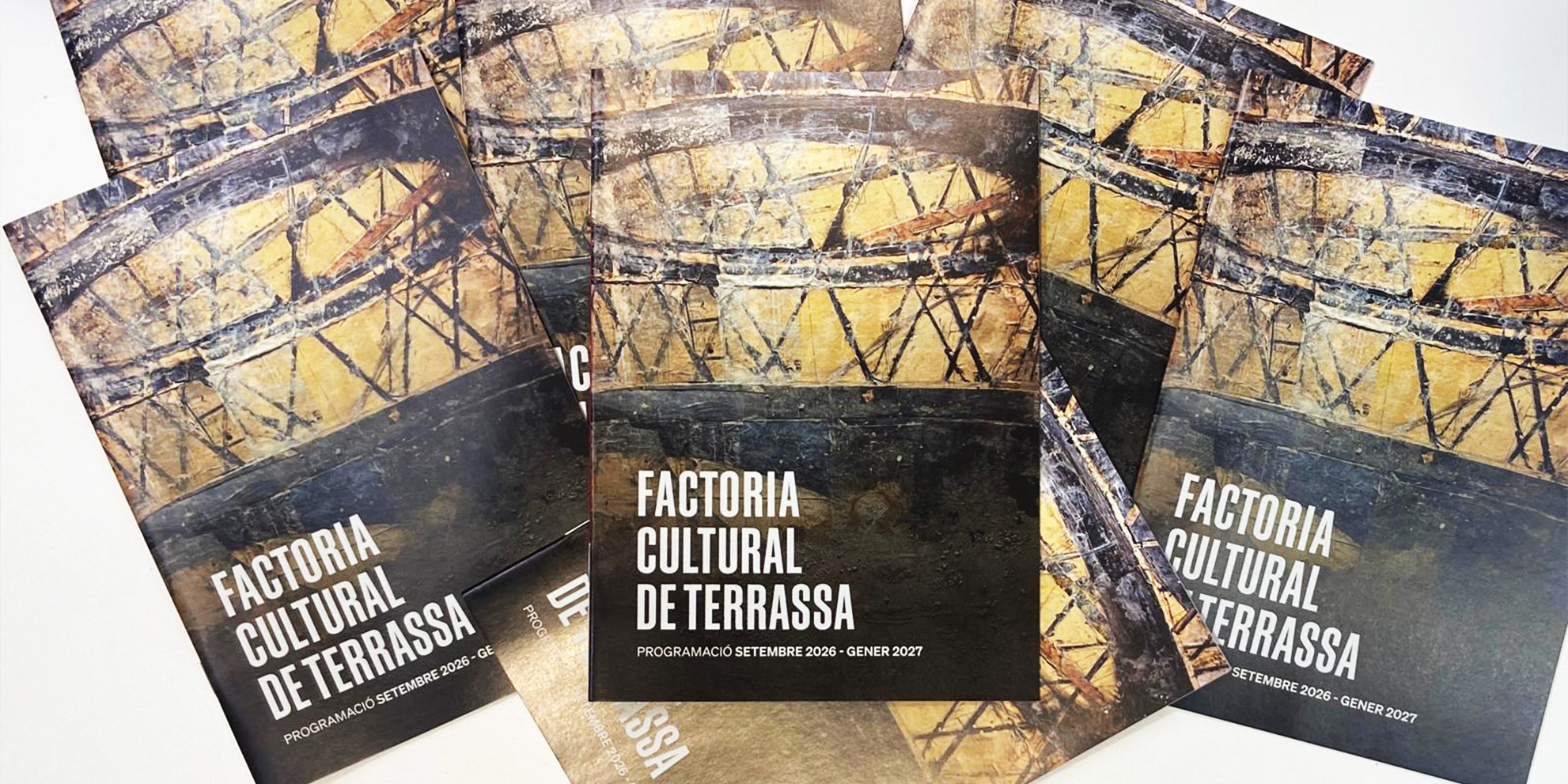 LaFACT_Revista 2026:27